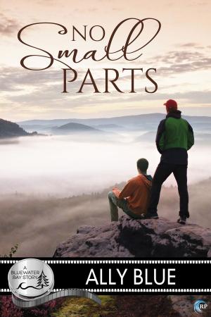 Cover of the book No Small Parts by Ally Blue