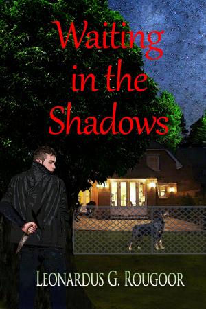 Book cover of Waiting in the Shadows