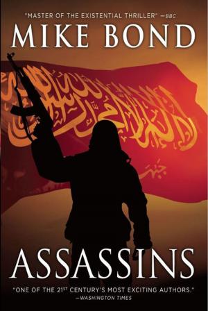 Cover of the book ASSASSINS by Allison Brennan, Laura Griffin