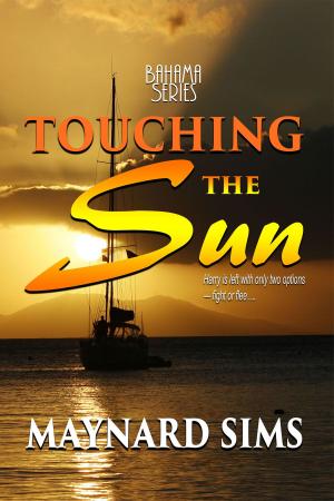 bigCover of the book Touching the Sun by 