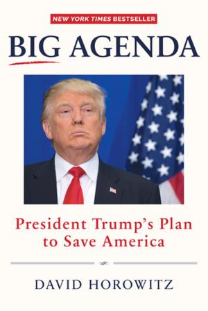 Cover of the book Big Agenda by Gary Small, MD, Gigi Vorgan