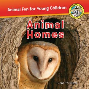 bigCover of the book Animal Homes by 