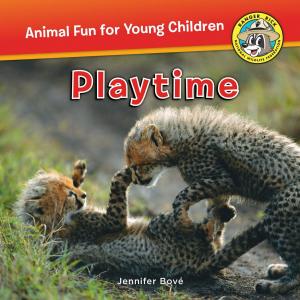 Cover of the book Playtime by Michele Reyzer