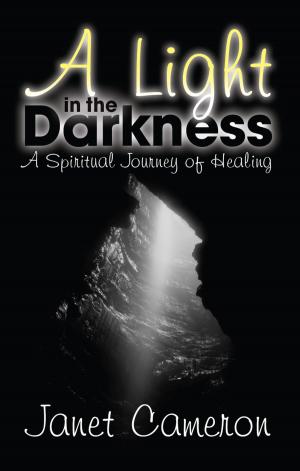 Cover of the book A Light in the Darkness by Lee Chavous