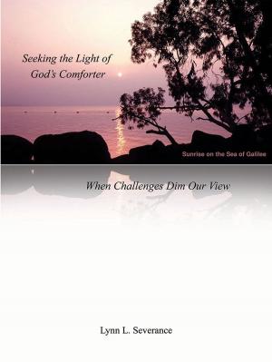 Book cover of Seeking the Light of God's Comforter - When Challenges Dim Our View