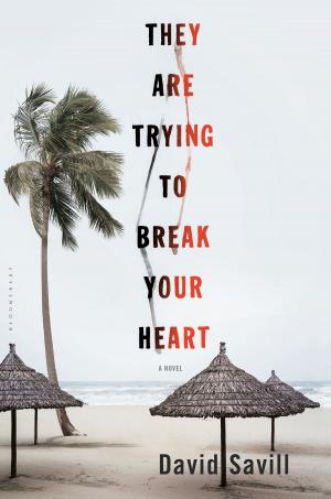 Cover of the book They are Trying to Break Your Heart by Gary Alan Ruse