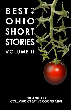Cover of the book Best of Ohio Short Stories: Volume 2 by Paul Xylinides