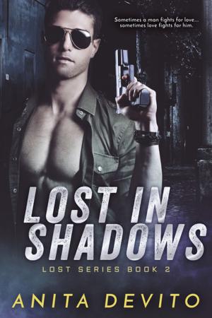 Book cover of Lost in Shadows