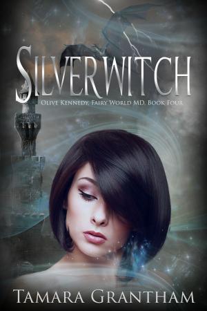 Cover of the book Silverwitch by Sherry D. Ficklin