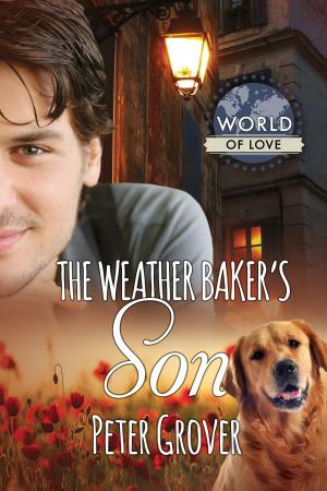 Cover of the book The Weather Baker's Son by Andrew Grey