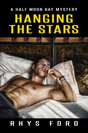 Cover of the book Hanging the Stars by Blaine Readler