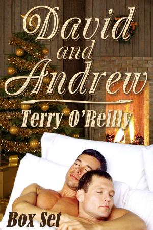 Cover of the book David and Andrew Box Set by J.M. Snyder, Becky Black, T.A. Creech, Rebecca James, Shawn Lane, JL Merrow, A.R. Moler, Terry O'Reilly, Michael P. Thomas, Tinnean, J.D. Walker