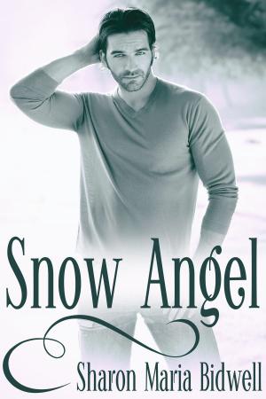 Cover of the book Snow Angel by David Connor, E.F. Mulder