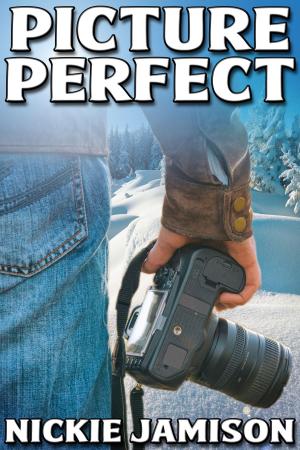 Cover of the book Picture Perfect by Hilary Walker