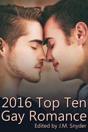 Cover of the book 2016 Top Ten Gay Romance by V.L. Locey