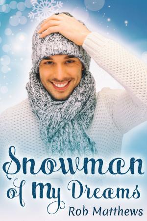 Cover of the book Snowman of My Dreams by Lex Baker