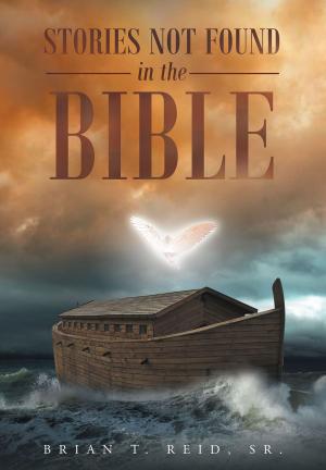 Cover of the book Stories Not Found in the Bible by Susan Brownlee Holman