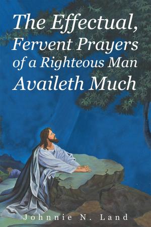 Cover of the book The Effectual, Fervent Prayers Of A Righteous Man Availeth Much by David Walton