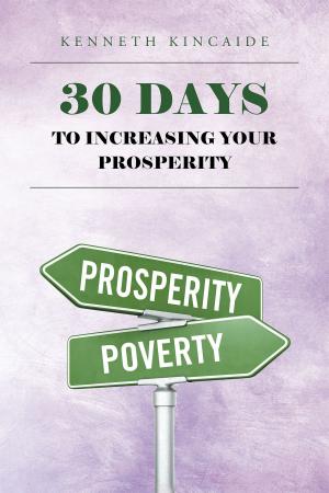 Cover of the book 30 Days to Increasing Your Prosperity by MJ Lykins