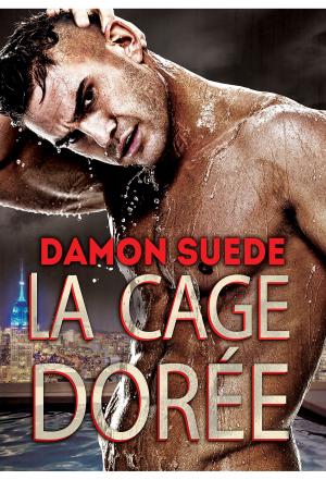 Book cover of La cage dorée