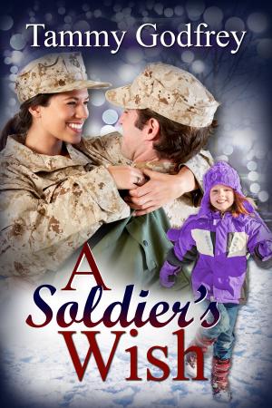 Cover of the book A Soldier's Wish by Ryder Dane