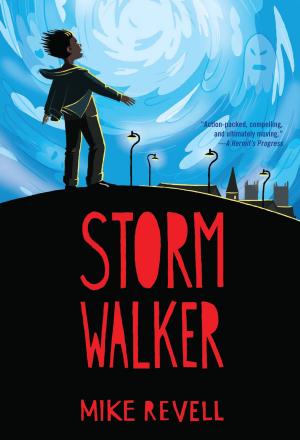 Cover of the book Stormwalker by Dave Birss