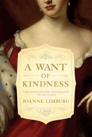 Book cover of A Want of Kindness: A Novel