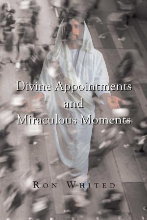 Cover of the book Divine Appointments and Miraculous Moments by Ted Landkammer