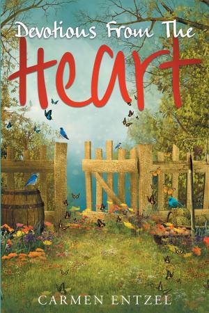 Cover of the book Devotions From The Heart by Brad Pfau M.D. F.A.A.P.