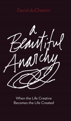 Cover of the book A Beautiful Anarchy by Roberto Valenzuela