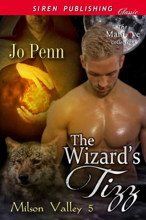 Cover of the book The Wizard's Tizz by Jools Louise