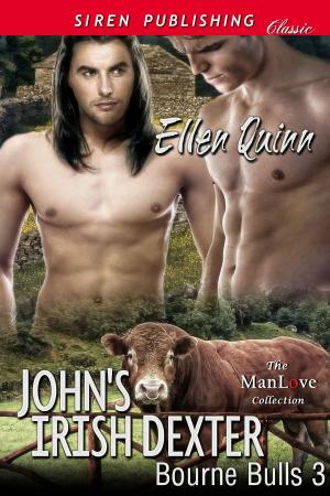 Cover of the book John's Irish Dexter by Lara Santiago writing as Elle Saint James