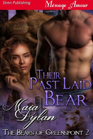Cover of the book Their Past Laid Bear by D.T. Dyllin