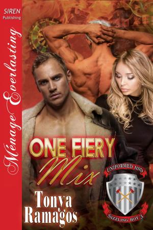 Cover of the book One Fiery Mix by Fiona Blackthorne