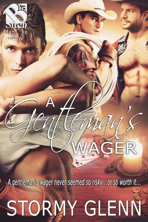 Cover of the book A Gentleman's Wager by Stormy Glenn