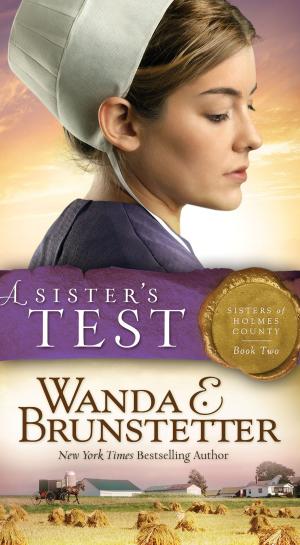 Book cover of A Sister's Test