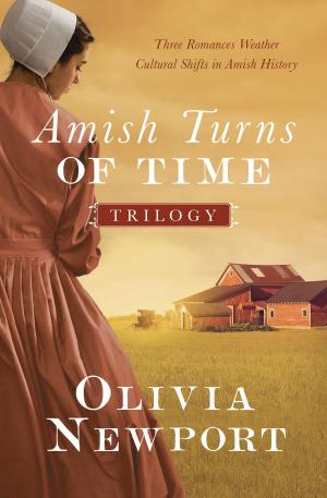 Cover of the book The Amish Turns of Time Trilogy by Joyce Livingston