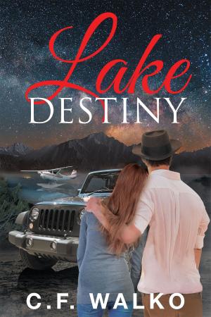 Book cover of Lake Destiny