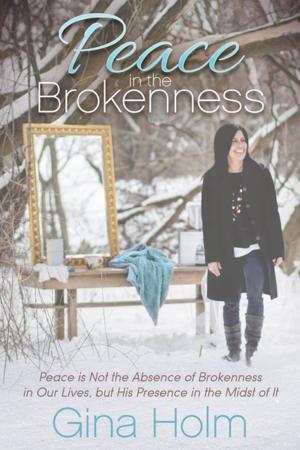Cover of the book Peace in the Brokenness by Cynthia Brian