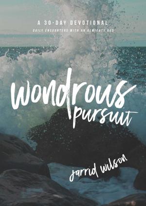 Cover of the book Wondrous Pursuit by David W. Jones