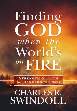 Cover of the book Finding God When the World's on Fire by Stu Epperson, Jr.