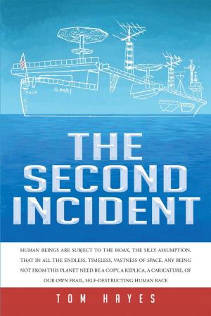 Book cover of THE SECOND INCIDENT