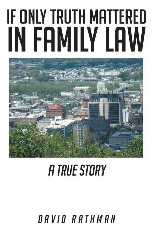 Cover of the book If Only Truth Mattered in Family Law by Deltron Ryland