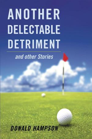 Cover of the book Another Delectable Detriment and other Stories by Patricia Overman