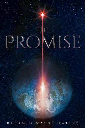 Cover of the book The Promise by Richard Moreno