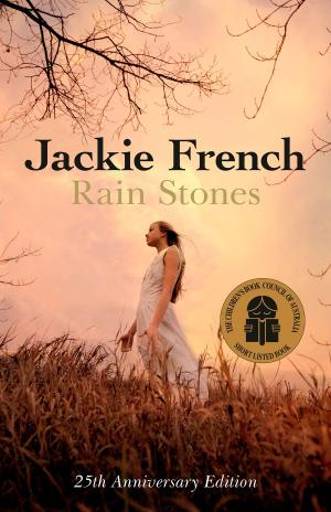 Book cover of Rain Stones 25th Anniversary Edition