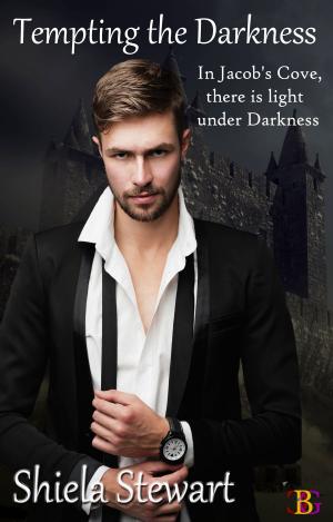 bigCover of the book Tempting the Darkness by 