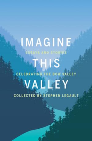 Cover of the book Imagine This Valley by Arthur Philemon Coleman