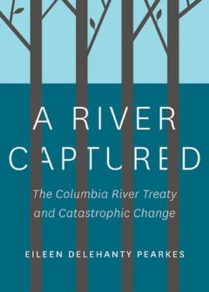 Cover of the book A River Captured by Gerry Shea