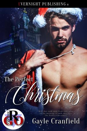 Cover of the book The Perfect Christmas by Jennifer Macaire